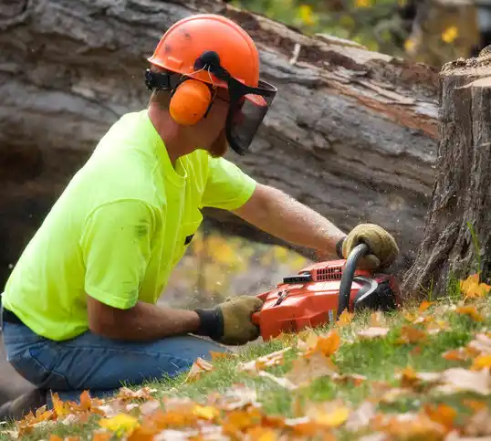 tree services Uniondale